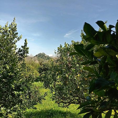 Casa Gelferraro Villa Calatafimi Buitenkant foto