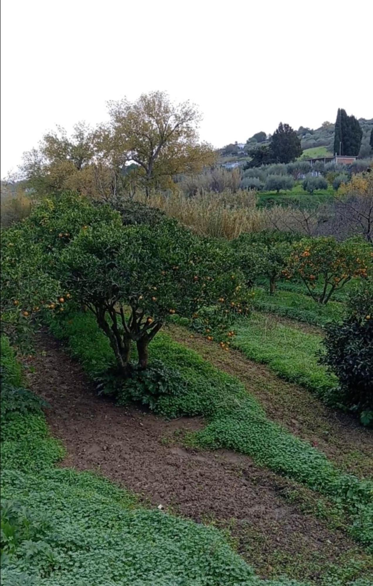 Casa Gelferraro Villa Calatafimi Buitenkant foto