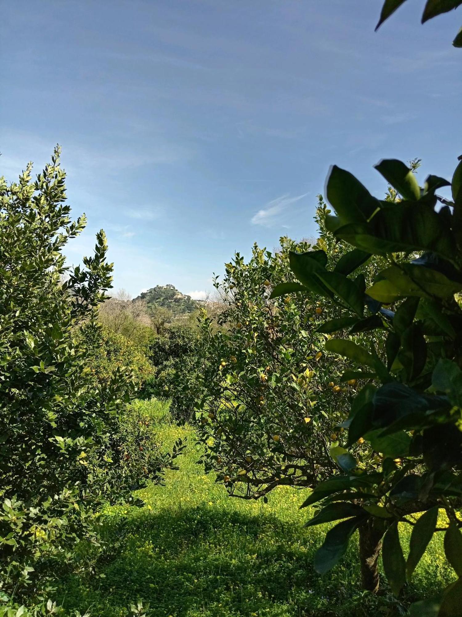 Casa Gelferraro Villa Calatafimi Buitenkant foto